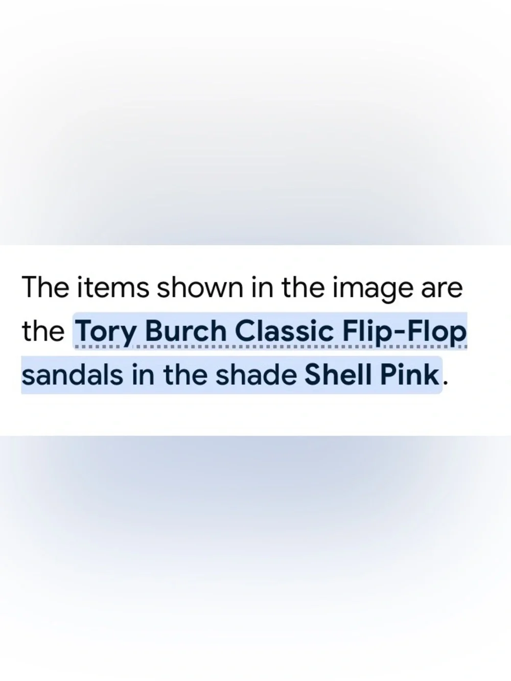 Women’s Tory Burch Beige Pink Nude Leather Flip Flop Thong Sandals NEW size 11